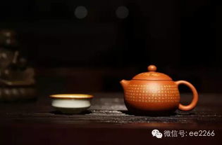 紫砂藝術 為何未經泡養是壺之本真？